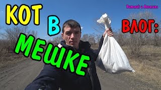 КОТ В МЕШКЕ / ЧТО МЫ КУПИЛИ НА 10000 РУБЛЕЙ КОТ В МЕШКЕ / ЧТО МЫ КУПИЛИ НА 10000 РУБЛЕЙ