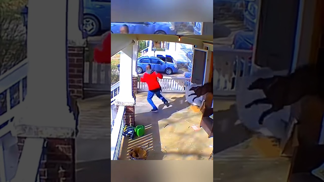 Otters Teach Classroom Fun 🦦💦 | Educational Animal Adventures