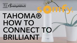 SPRINGBLINDS: SOMFY TaHoma® How To Connect to Brilliant