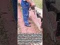 체인톱과 가이드 레일로 통나무 판재 만들기 #worker #process #chainsaw #woodworking #lumber