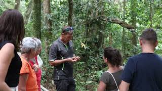 Luxury Private Daintree Tour