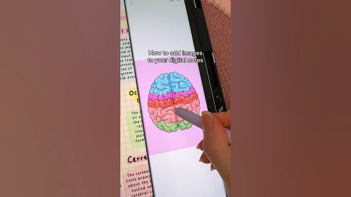 How to add images to your digital notes 💗 Samsung galaxy tab S9 | Penly app | iPad note taking