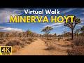 Minerva Hoyt Trail 4K POV Walk | Desert Vistas & Rock Formations | Joshua Tree NP | Treadmill Walk