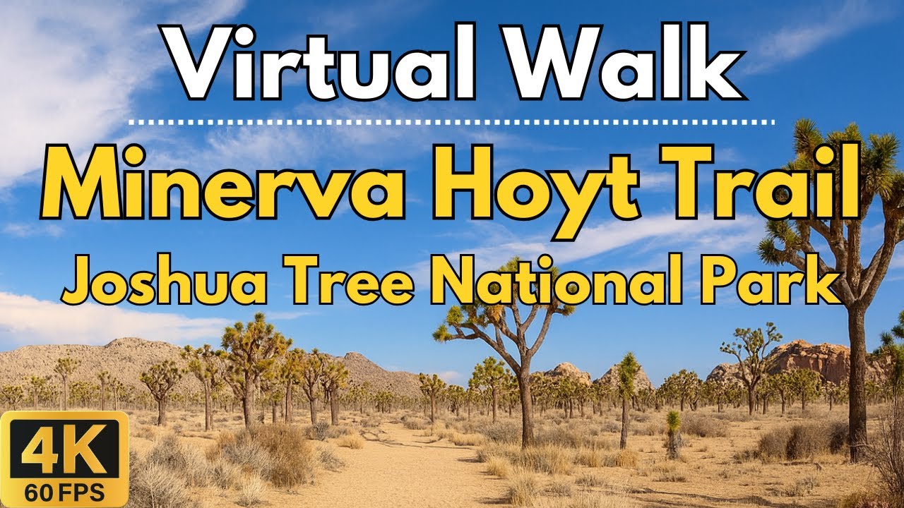 4K Treadmill Virtual Walk – Minerva Hoyt Trail at Joshua Tree | 46-Min Scenic POV Walk