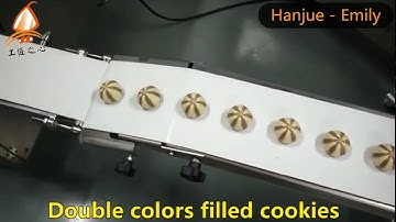 Hanjue Double color chocolate filled cookies machine HJ-860II encrusting machine