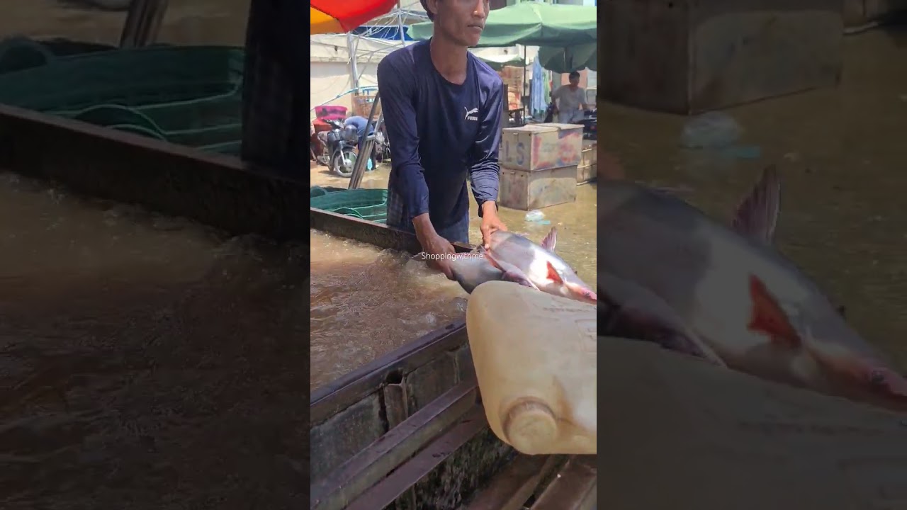 Amazing fresh fish market scene at Cambodia. 