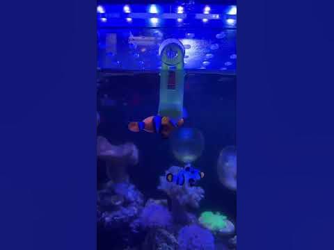 www.youtube.com