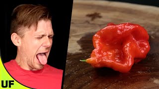 Tasting The Hottest Peppers Of The World Trinidad Moruga Scorpion Unusual Foods