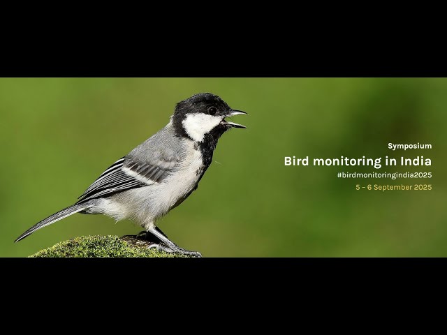 Panel Discussion – Opportunities and Challenges of monitoring birds in urban areas