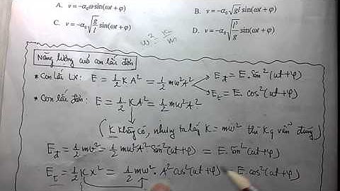 năng lượng trong con lắc đơn