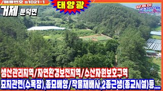 s1021-1.작물재배하는 자연인으로.. 또는 수목장이나 태양광 설치사업도 가능할 수 있는 넓은 거제토지매매 거제시 둔덕면 1만여평 토지매매-phone ver. #shorts