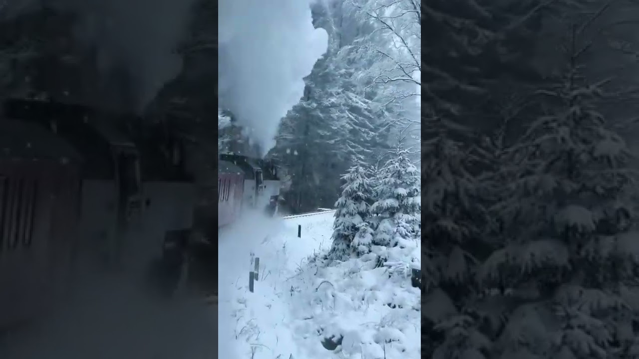 Harz Mountain, Germany 🇩🇪