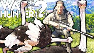These OSTRICHES are some TOUGH Birds! | Way of the Hunter 2