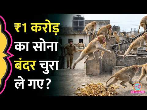Lakhimpur में पुलिस थाने से गायब हुए करोड़ों के गहने, UP Police बोली ‘बंदर ले गया…’