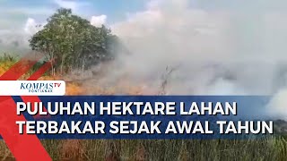 Total 63 Hektare Lahan di Ketapang Terbakar dari Januari 2023