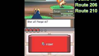 How to get Ponyta (Pokémon Platinum)