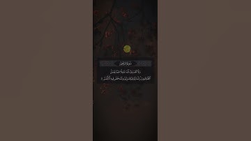 تلاوة خاشعة بصوت القارئ فارس عباد #فارس_عباد #اكسبلور