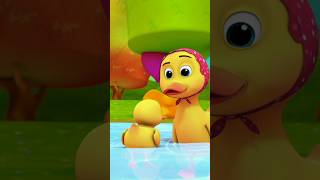 Five Little Ducks Kids Songs, Nursery Rhyme, #shorts #babyvideos #preschoollearning #shortsvideo
