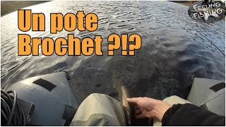 Je me suis fait un pote brochet - carnassier en float tube