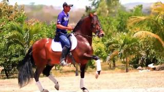 RANCHO LA ESPERANZA PRE (PRESENTACIÓN)