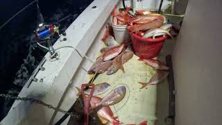 Commercial Fishing in South Carolina 7-29-24
