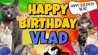 Happy Birthday Vlad Crazy Cats Say Happy Birthday Vlad Very Funny