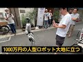 ヒューマノイド魂 ロボット大地に立つ!(私道)