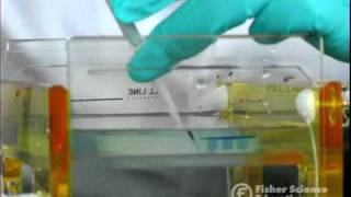 Electrophoresis: Improper Gel Loading