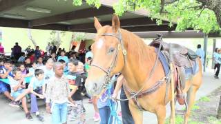LAPD Mounted Unit Visit Westminster Elementary