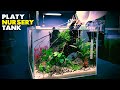Aquascape Tutorial: Making A Baby Platy Nursery Aquarium (How To Step By Step Fish Tank Build Guide)