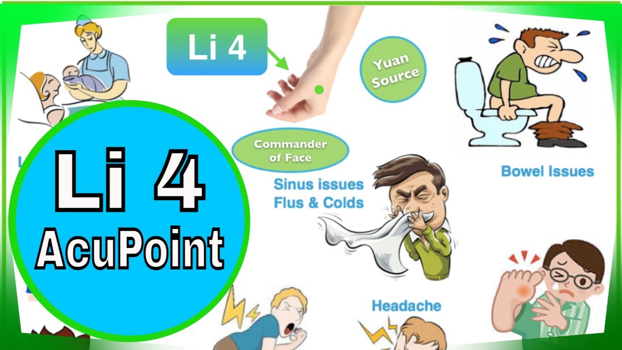 Li 4 Acupuncture Point to move Blood YouTube