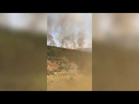 Top News - Zjarr në Mamurras, Kurbin/ Rrezikohen banesat, dyshohet se është e qëllimshme