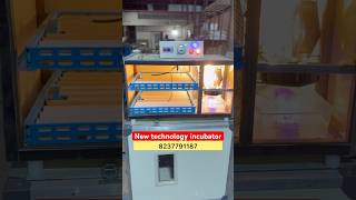160 Eggs new Ai technology incubator #incubator #poultry #farming #hatching