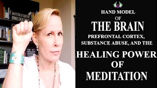 Dr. Dan Siegel's Hand Model of the Brain | Prefrontal Cortex, Substance Abuse and Mindful Meditation