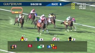 Gulfstream Park Race 8 | May 6, 2016