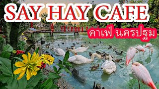 "Say Hay Cafe Cuisine" Cafe Thailand There are flamingos too.