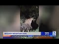 P-22 deja vu? Cougar spotted in Griffith Park