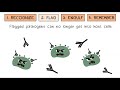 Immune System Functionality Quiz