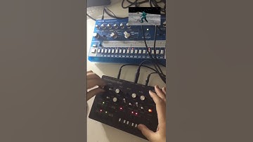 Monotribe #126 (with Behringer RD-6)