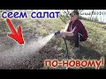 ВСХОДЫ на 3 - 4 день! Новый способ посева СЕМЯН САЛАТА!!!