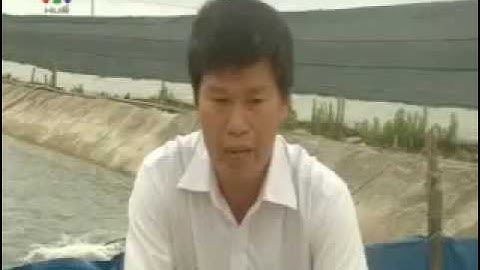 Ứng dụng công nghệ biofloc vào nuôi tôm trên cát