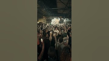Thumbnail of OMG that vibe is INSANE 🥹🤯 #avaion #somebodythatiusedtoknow #forthevibes #clubsounds