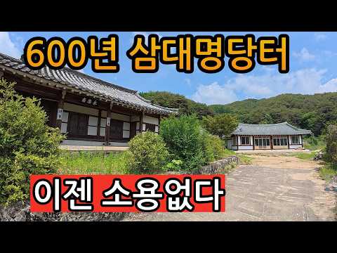 고래등