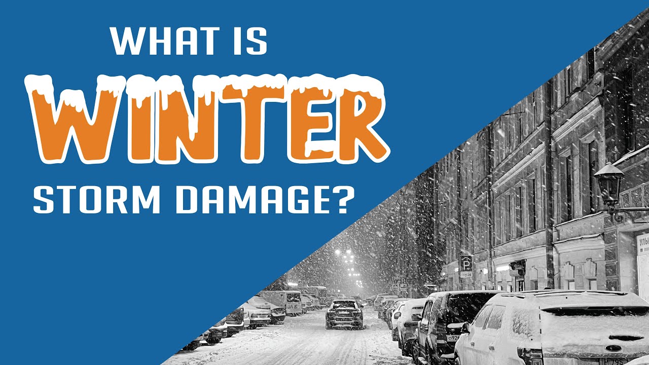 What is Winter Storm Damage?