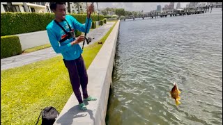 Searching for New Fishing Spots in West Palm Beach, FL | Hidden Gems & First Casts!