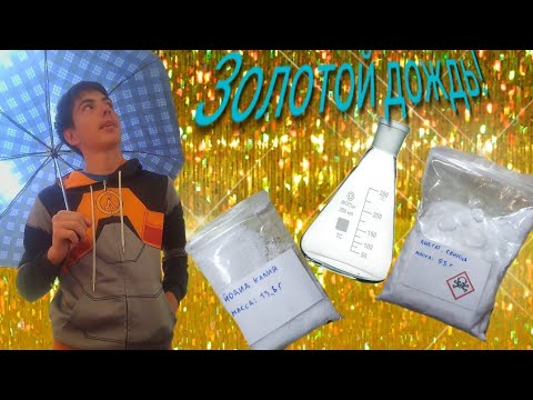 заказал шлюху