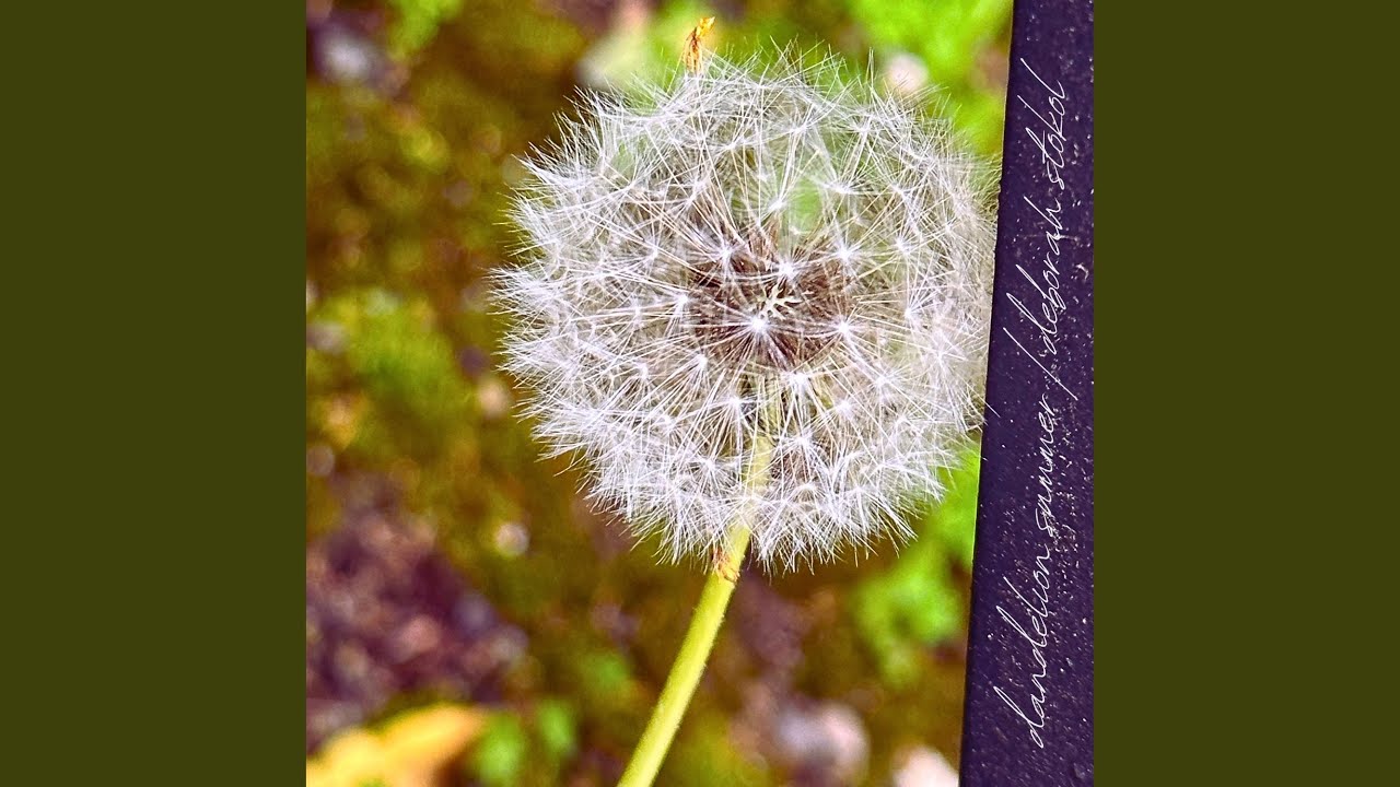 Dandelion Summer (Solo Piano Version)