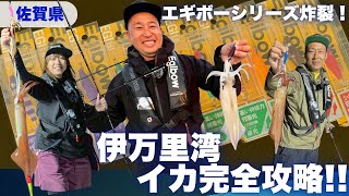 大剣釣れまくり!伊万里のイカ爆釣！【釣り時季】