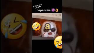 Nepe Wais
