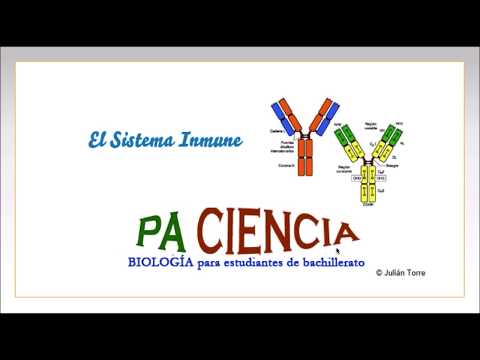 Mecanismos defensa frente